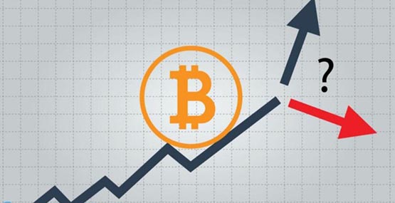 比特币为何涨势不止？突破6.7万美元、年内已累涨近50%的原因有哪些？