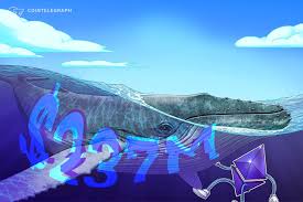 Neptune Digital Assets为何收购100万个Dogecoin？背后动因和市场影响有哪些？