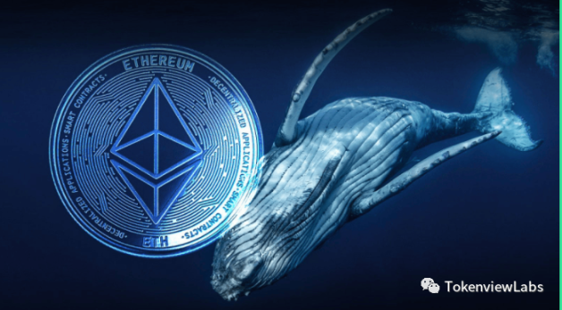 2025年上半年加密衍生品市场表现如何？BTC创新高与市场分化带来哪些机遇与挑战？