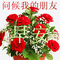 《GENIUS 法案》真的可能再次催生DeFi Summer吗？