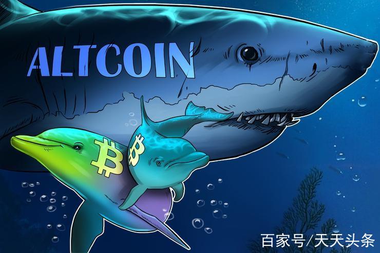 2025年比特币：战略储备与企业押注将如何影响市场走势？
