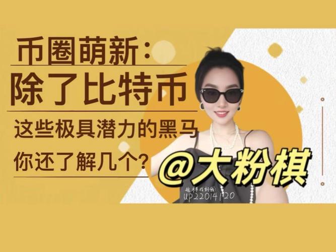 新手如何安全参与10大Launchpad？散户投资攻略全解析